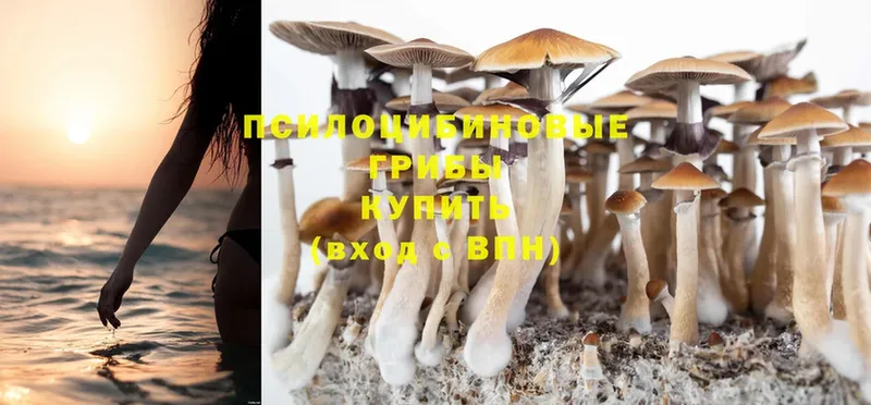 Псилоцибиновые грибы GOLDEN TEACHER  Обнинск 