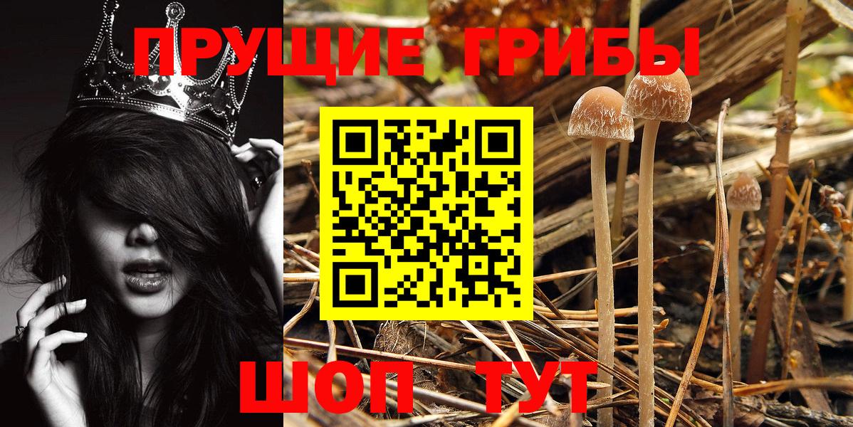 Обнинск  Псилоцибиновые грибы GOLDEN TEACHER  Вход с VPN  Псилоцибиновые грибы мицелий 